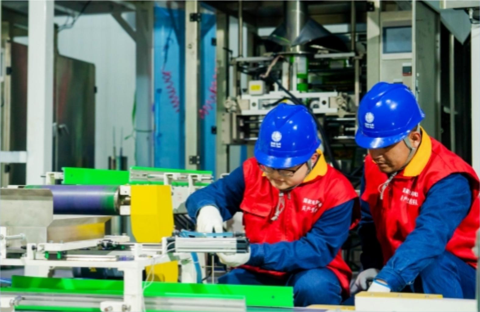 国家电网河南电力公司2025年招聘高校毕业生