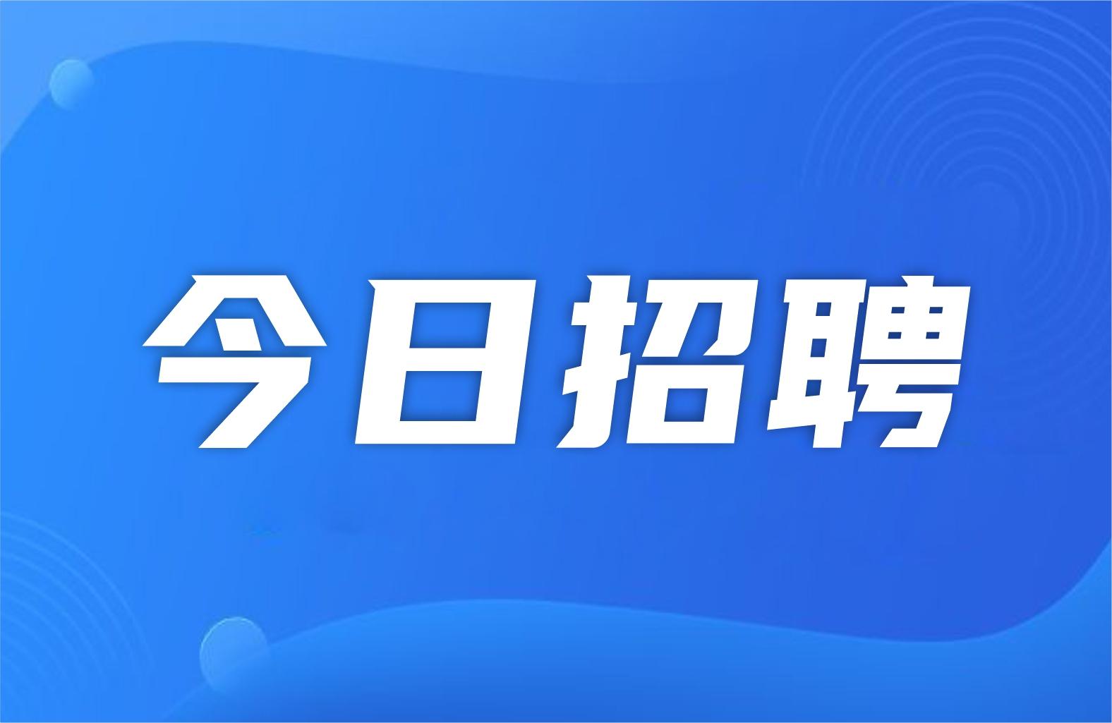 许昌市市直学校公开招聘2025届普通高校优秀毕业生公告