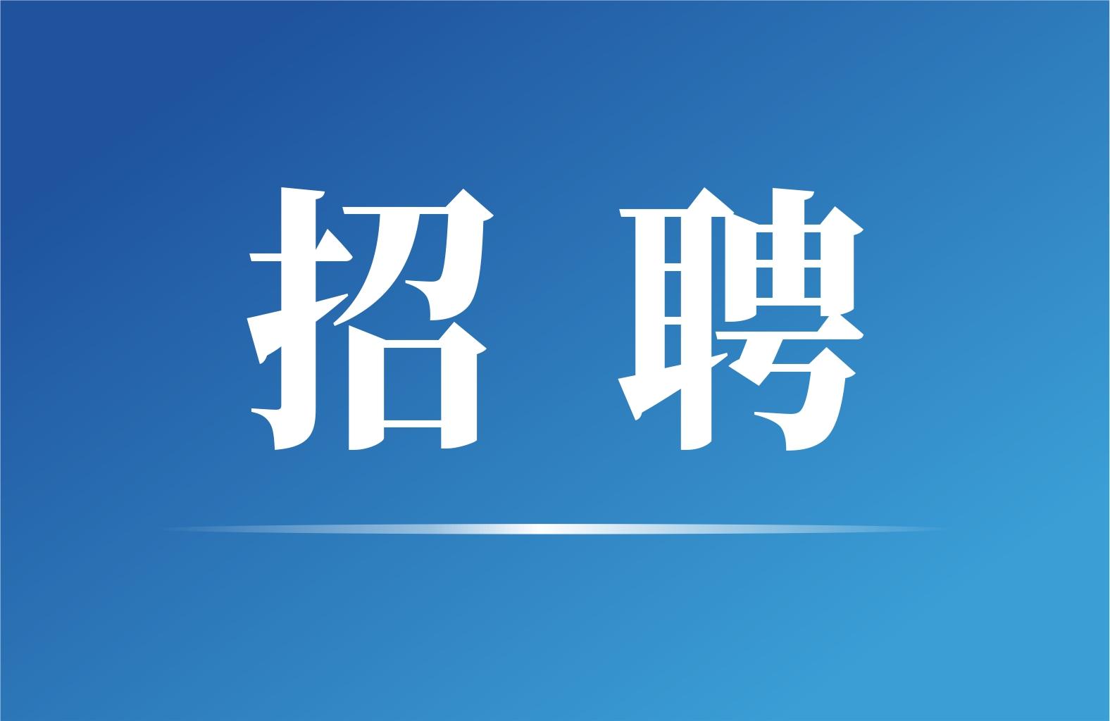 国家电投集团2025春季招聘